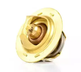 Термостат, охлаждающая жидкость BSG купить